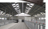 Stallbau